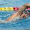 那不勒斯国际游泳联赛第二 游泳明星出场
