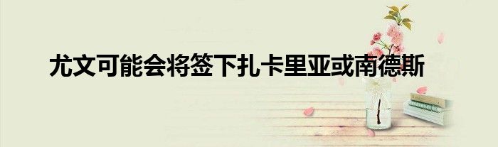 尤文可能会将签下扎卡里亚或南德斯