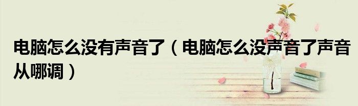 电脑怎么没有声音了（电脑怎么没声音了声音从哪调）