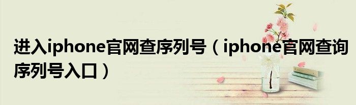 进入iphone官网查序列号（iphone官网查询序列号入口）