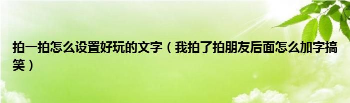 拍一拍怎么设置好玩的文字（我拍了拍朋友后面怎么加字搞笑）