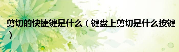 剪切的快捷键是什么（键盘上剪切是什么按键）