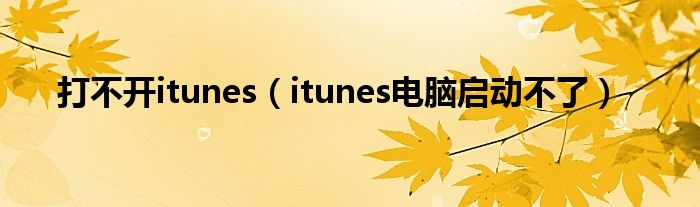 打不开itunes（itunes电脑启动不了）