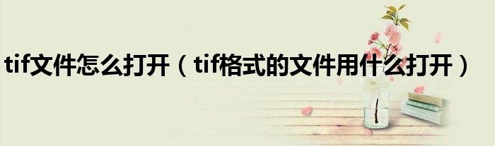 tif文件怎么打开（tif格式的文件用什么打开）