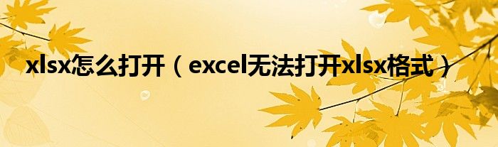 xlsx怎么打开（excel无法打开xlsx格式）