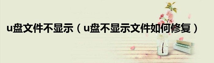 u盘文件不显示（u盘不显示文件如何修复）