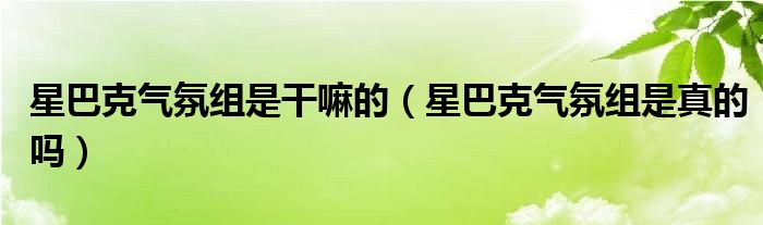 星巴克气氛组是干嘛的（星巴克气氛组是真的吗）