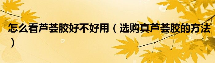 怎么看芦荟胶好不好用（选购真芦荟胶的方法）