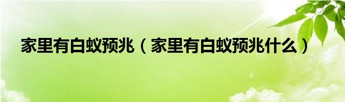 家里有白蚁预兆（家里有白蚁预兆什么）