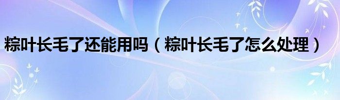 粽叶长毛了还能用吗（粽叶长毛了怎么处理）