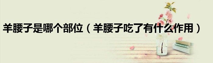 羊腰子是哪个部位（羊腰子吃了有什么作用）