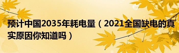 预计中国2035年耗电量（2021全国缺电的真实原因你知道吗）