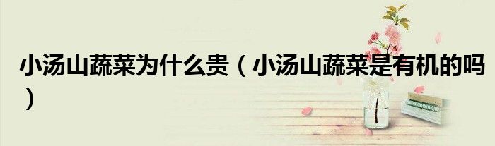 小汤山蔬菜为什么贵（小汤山蔬菜是有机的吗）