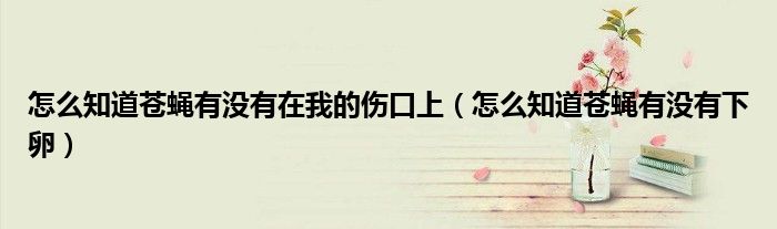怎么知道苍蝇有没有在我的伤口上（怎么知道苍蝇有没有下卵）