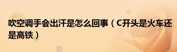 吹空调手会出汗是怎么回事（C开头是火车还是高铁）