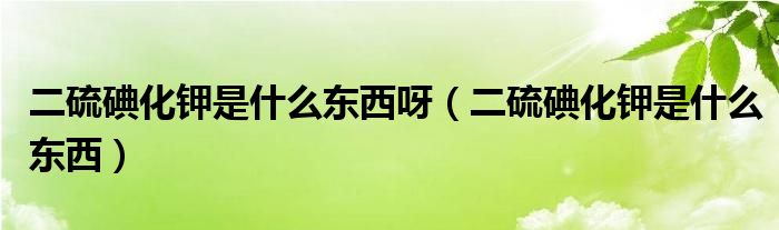 二硫碘化钾是什么东西呀（二硫碘化钾是什么东西）