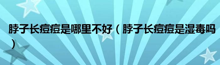 脖子长痘痘是哪里不好（脖子长痘痘是湿毒吗）