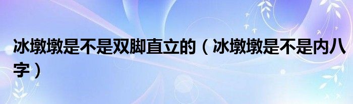 冰墩墩是不是双脚直立的（冰墩墩是不是内八字）
