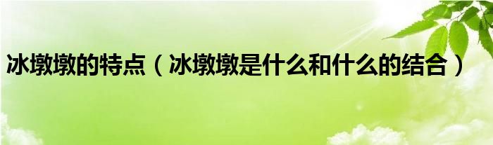 冰墩墩的特点（冰墩墩是什么和什么的结合）