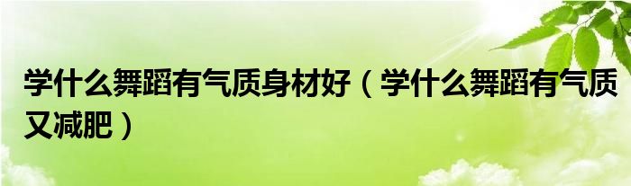 学什么舞蹈有气质身材好（学什么舞蹈有气质又减肥）