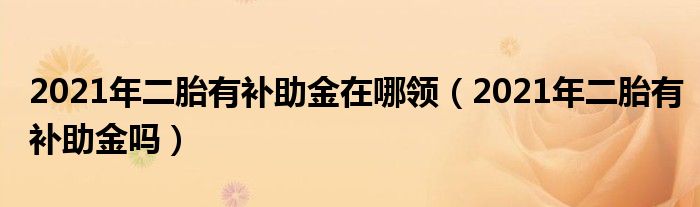 2021年二胎有补助金在哪领（2021年二胎有补助金吗）