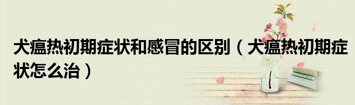 犬瘟热初期症状和感冒的区别（犬瘟热初期症状怎么治）