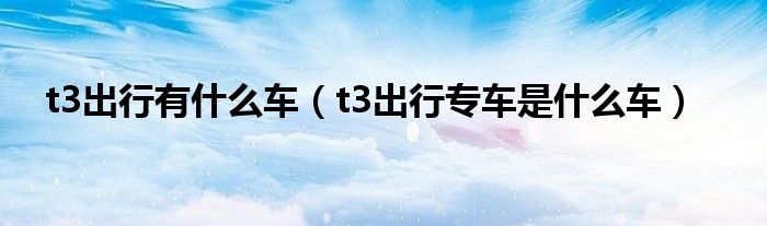t3出行有什么车（t3出行专车是什么车）