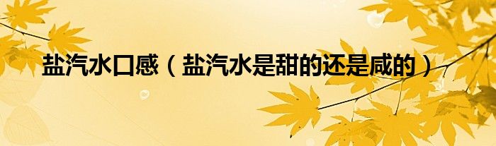 盐汽水口感（盐汽水是甜的还是咸的）