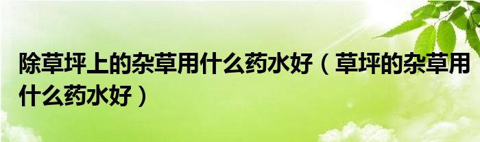 除草坪上的杂草用什么药水好（草坪的杂草用什么药水好）