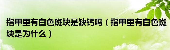 指甲里有白色斑块是缺钙吗（指甲里有白色斑块是为什么）