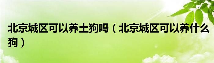 北京城区可以养土狗吗（北京城区可以养什么狗）