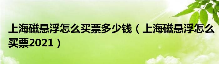 上海磁悬浮怎么买票多少钱（上海磁悬浮怎么买票2021）