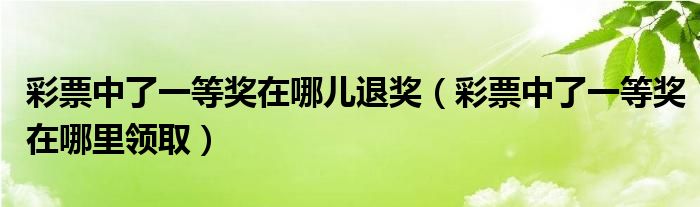 彩票中了一等奖在哪儿退奖（彩票中了一等奖在哪里领取）