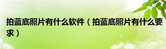 拍蓝底照片有什么软件（拍蓝底照片有什么要求）