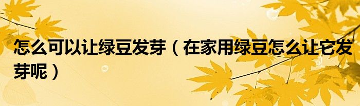 怎么可以让绿豆发芽（在家用绿豆怎么让它发芽呢）