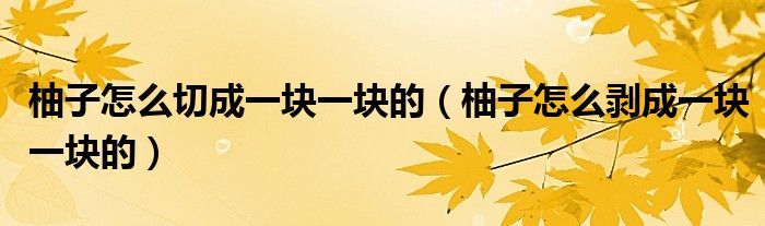 柚子怎么切成一块一块的（柚子怎么剥成一块一块的）
