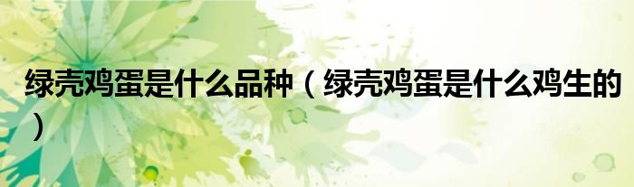 绿壳鸡蛋是什么品种（绿壳鸡蛋是什么鸡生的）