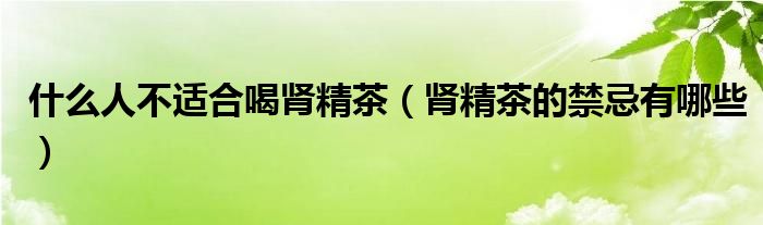 什么人不适合喝肾精茶（肾精茶的禁忌有哪些）