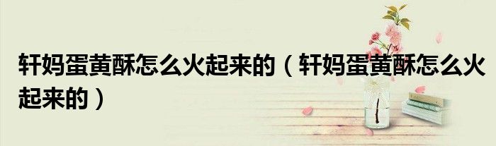 轩妈蛋黄酥怎么火起来的（轩妈蛋黄酥怎么火起来的）