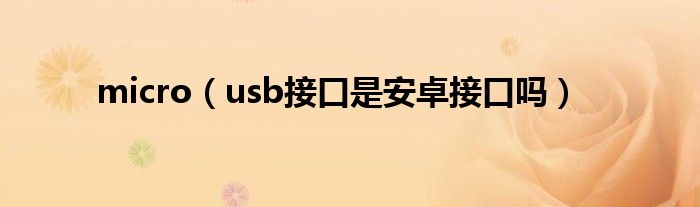 micro（usb接口是安卓接口吗）