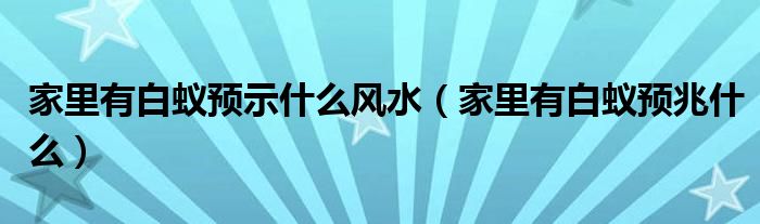 家里有白蚁预示什么风水（家里有白蚁预兆什么）