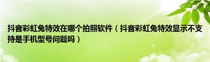 抖音彩虹兔特效在哪个拍照软件（抖音彩虹兔特效显示不支持是手机型号问题吗）