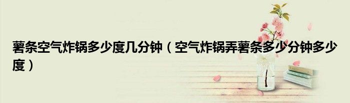 薯条空气炸锅多少度几分钟（空气炸锅弄薯条多少分钟多少度）
