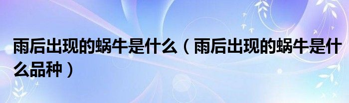 雨后出现的蜗牛是什么（雨后出现的蜗牛是什么品种）