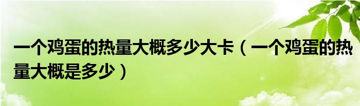 一个鸡蛋的热量大概多少大卡（一个鸡蛋的热量大概是多少）