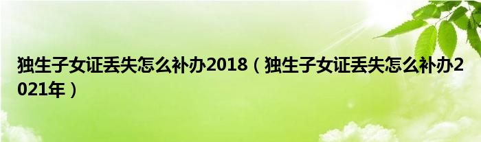 独生子女证丢失怎么补办2018（独生子女证丢失怎么补办2021年）