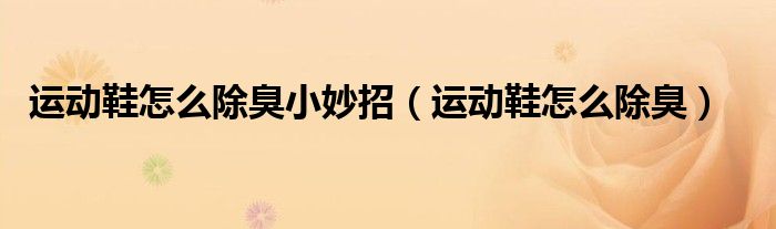 运动鞋怎么除臭小妙招（运动鞋怎么除臭）