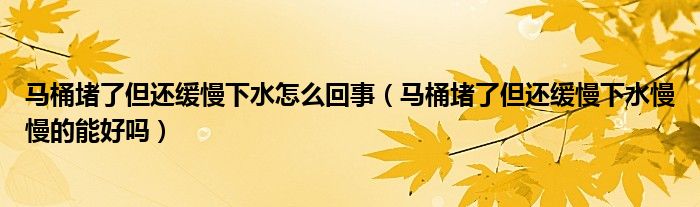 马桶堵了但还缓慢下水怎么回事（马桶堵了但还缓慢下水慢慢的能好吗）