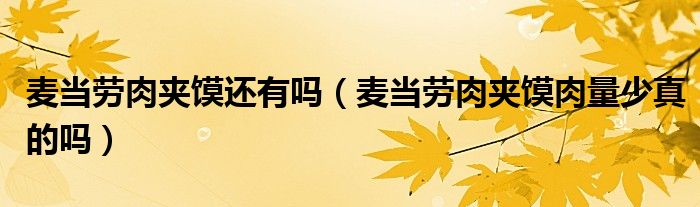 麦当劳肉夹馍还有吗（麦当劳肉夹馍肉量少真的吗）