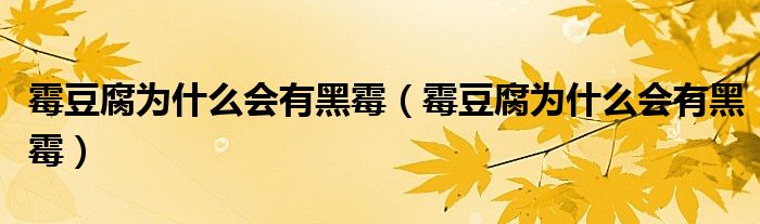 霉豆腐为什么会有黑霉（霉豆腐为什么会有黑霉）
